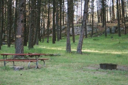 Horse Thief Campground And Rv Resort Hill City Exteriör bild